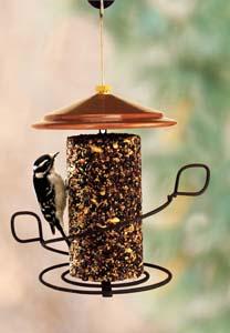Downy Woodpecker on Seed Cylinder Feeder